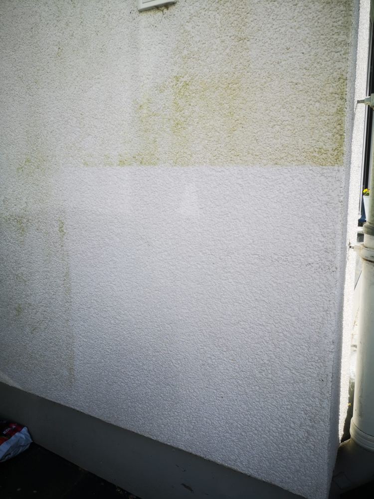 Probefläche